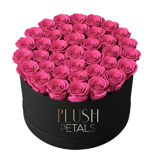 Forever Preserved Roses